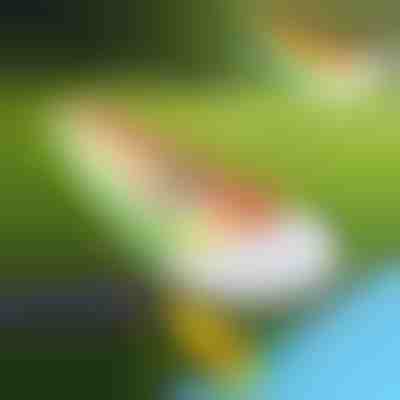 Aufblasbare Wasserrutsche (465x80cm) | REEFLY