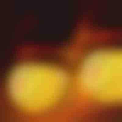 Schneemann-Lichtabdeckungen | SNOWKO