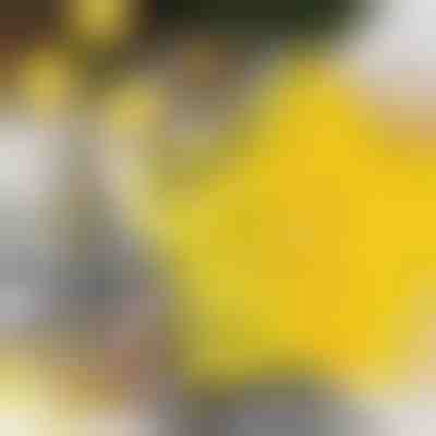 Sternförmige Ausstechformen (6 Stück) | STARCUTS