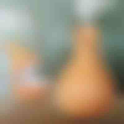 Luftbefeuchter aus Holz | HUMISTER