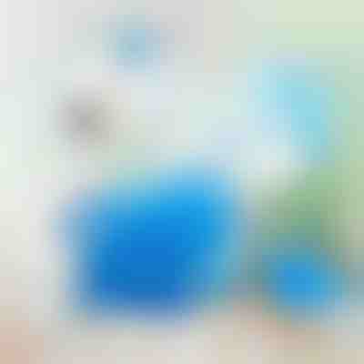 360° drehbare elektrische Staubbürste | DUSTER