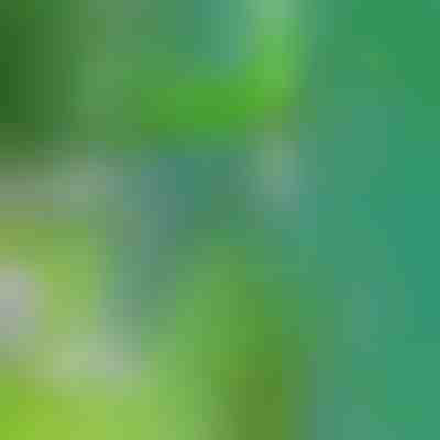 Ein Werkzeug zum Entfernen von Unkraut | SPINOUT