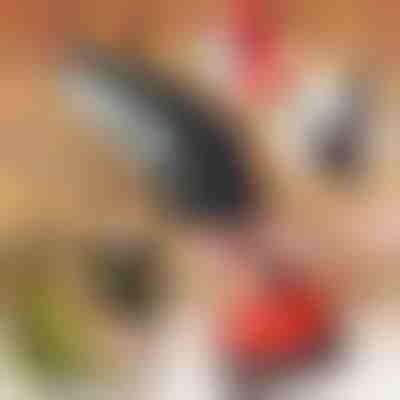 Elektrische Handsäge BRENCHIE