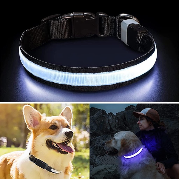 Hundehalsband Mit Rosenmotiv In Weiß – Mirage Pet Products, Größe 20, Made In USA