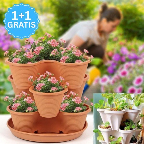 PLANTUP11654__ec0f38c7