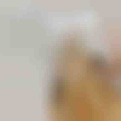 Wiederaufladbare Sprühdampf-Haustierbürste | GROOMSY