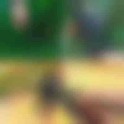 Professionelle 2-in-1 Baumschneide- und Veredelungsschere | MASTERCUT