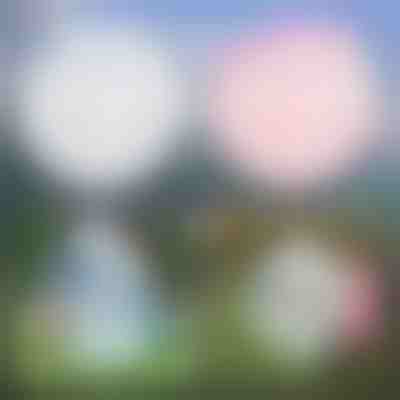 Mehrzweck-aufblasbare blase | SLIMEBUB