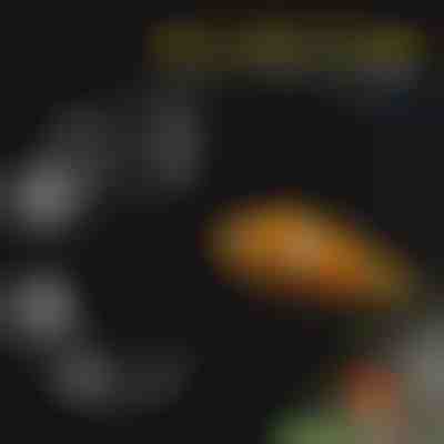 Aquarium-Futtertablett-Set | FINTROL