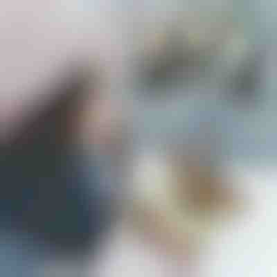 Tierhandschuhe MITTENPET